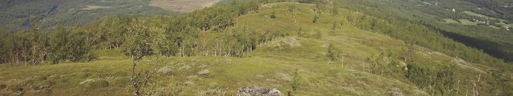 Millaiset habitaatit ovat muuttuneet