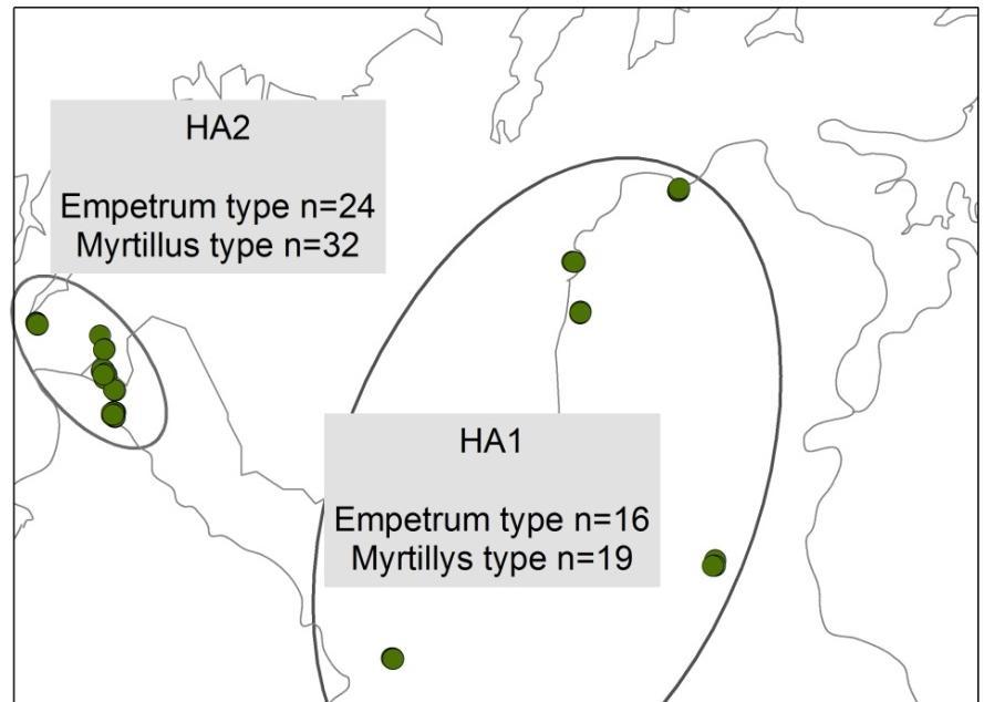 lumisuojainen Calluna-tyyppi