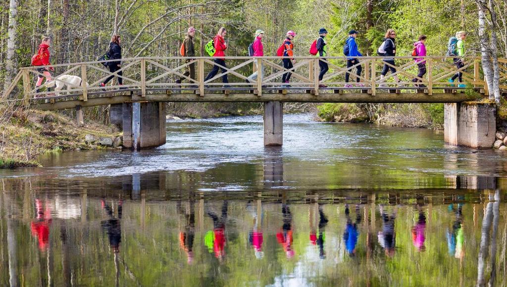 Tiilikkajärven kansallispuisto, Rautavaara ja Sotkamo.