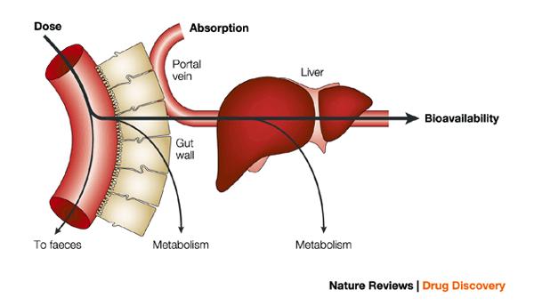 Imeytymisnopeuden vaikutus plasmapitoisuuteen Alkureitin metabolia Liuos