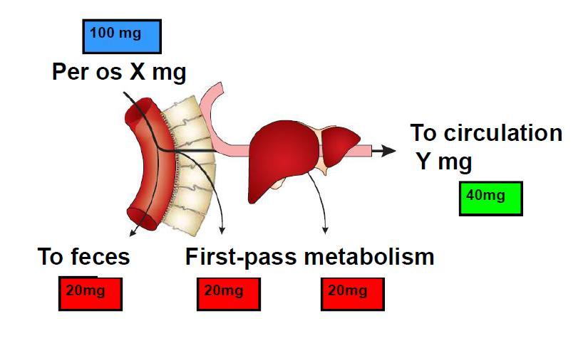 Alkureitin metabolia Hyötyosuus Hyötyosuus % = 100 x Y/X Se osuus, joka