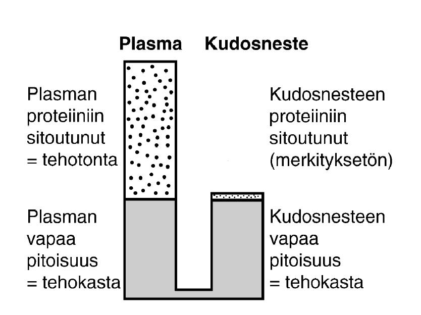 Plasman proteiiniin sitoutuminen 300 Varfariinin pitoisuus (%) 250 200 150 100