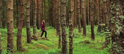 MEDIAKORTTI Keskustelut Lukijoiden kuvat Kirjat Puunhinta Metsämaa Puunhinta Avoimet työpaikat Näköislehti Uutiset ja blogit Keskustelut Lukijoiden kuvat Kirjat Puunhinta Metsämaa Metsäalan työpaikat