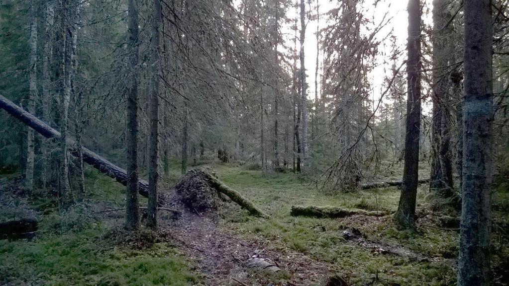 Alueella ei ole muuta olevaa kunnallistekniikkaa, lukuun ottamatta Pyyppöläntietä ja Isolahdentietä sekä valtatien