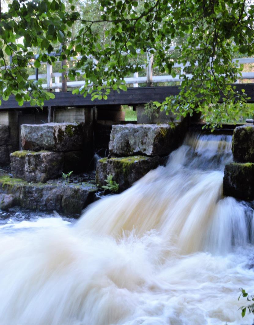 Ikääntyminen ja hyvinvointi Kuva: