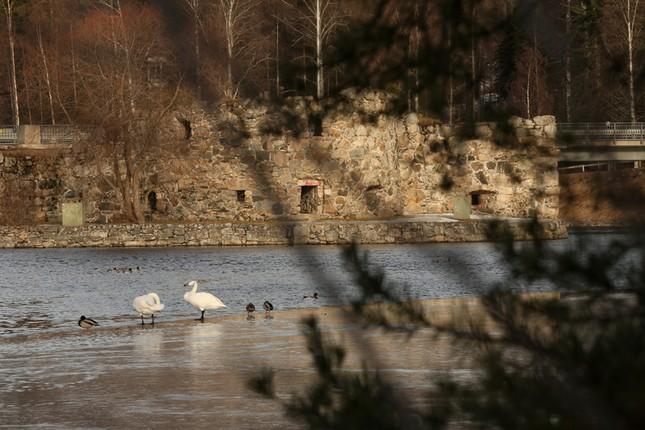 LINNANVIRTA JOKI ON JOTAKIN 2. KAUPPATORIN -kierros 3. RAATIHUONEENTORIN-YLÄKAUPUNGIN -kierros 4.