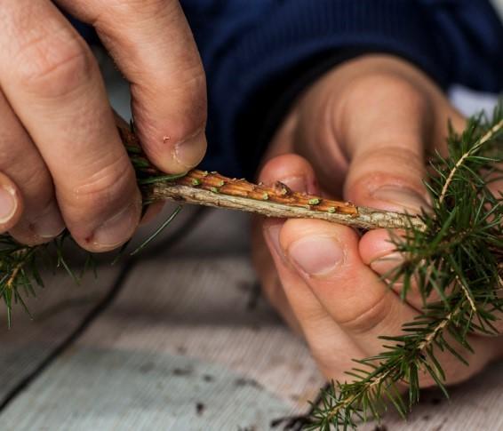 Kuva: Kosti Kytöjoki Kuva 3.