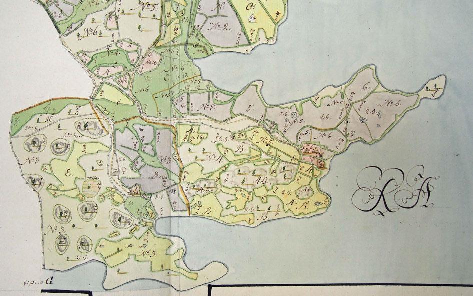 Tampereen kaupunki 10 Florinin isojakokartta, 1781 Kuva 6. Ote Florinin isojakokartasta v:lta 1781. (Alkuperäinen kartta: Kansallisarkisto.