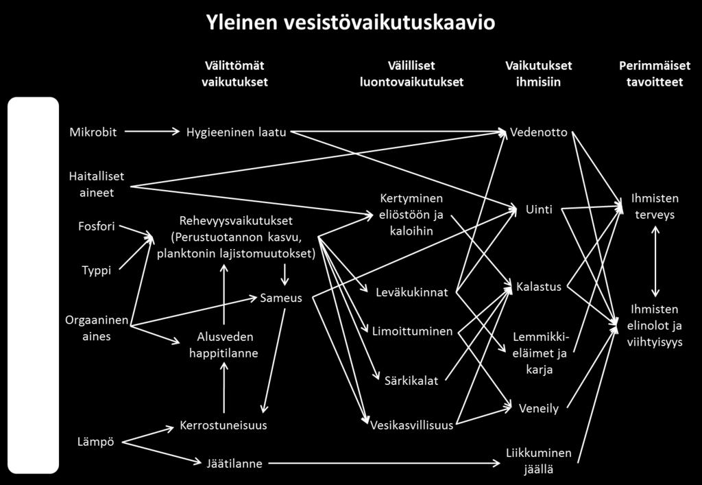 vaikutusketjujen visualisoiminen helpottaa niiden hahmottamista