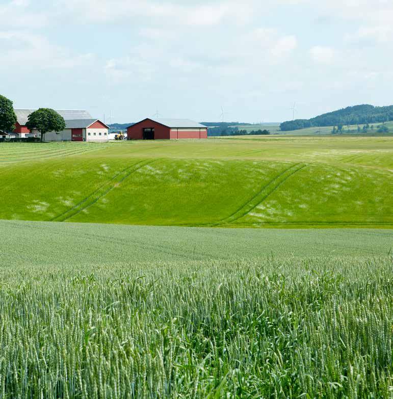 Myynti: Yhteistyössä Lantmännen Cerealia Oy:n kanssa: Continental Foods Finland Oy, myyntiorganisaatio, www.isomitta.fi, puh.