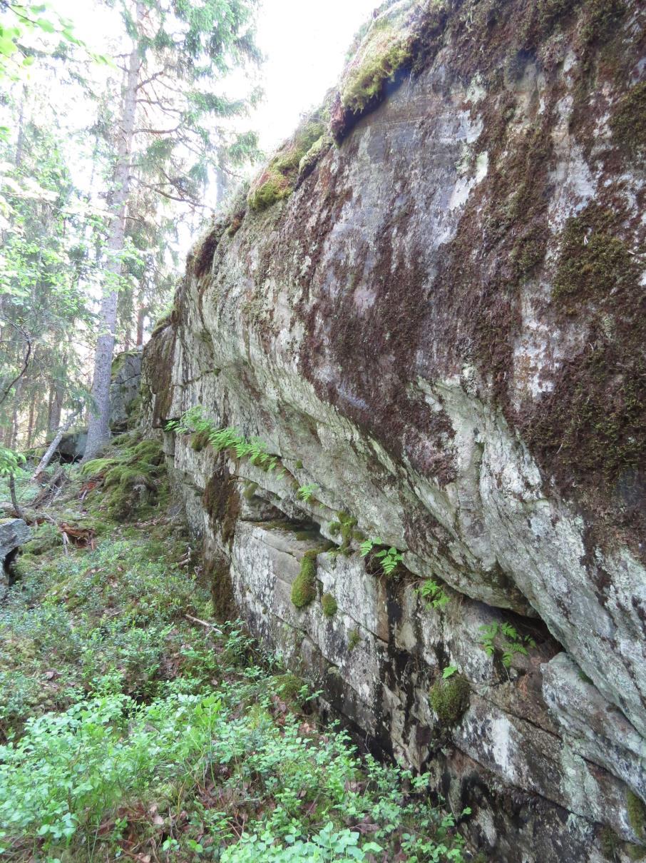 6 Kuva 4. Aittassuon luoteispuolen jyrkänne. 4.3 Aittassuon länsipuolen siirtolohkare Aittassuon länsipuolen kalliosta heti itään sijaitsee maastokarttaankin merkitty isohko siirtolohkare (Kuva 5).