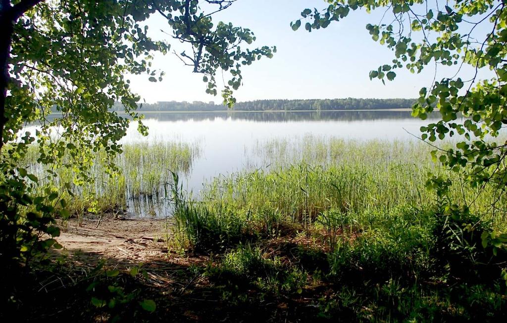 Arkkitehtisuunnittelu J E K E R Lammassaaren sauna 9 (19) 3.2. Sauna- ja venerannan yleiskuvaus Hiekkainen saunaranta on matalavetinen ja sijaitsee harvakasvuisen ja kapean ruovikon keskellä (kuva 3).