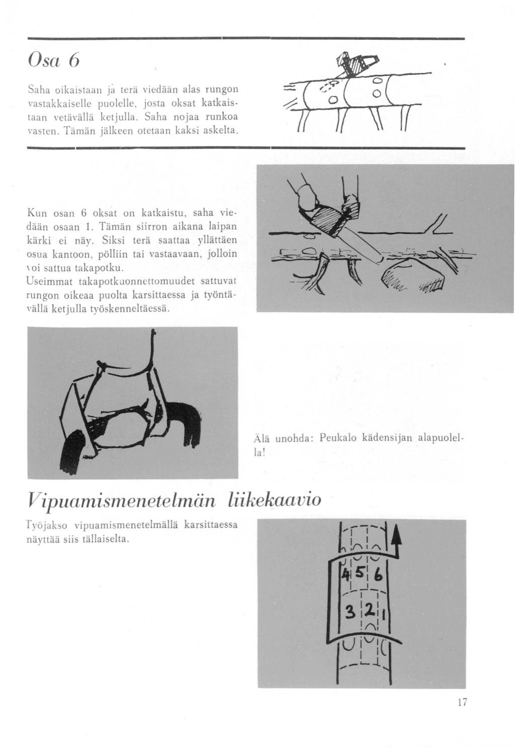 Osa 6 Saha oikai;taan ja terä viedään alas rungon - va takkaiselle puolelle, josta oksat katkaistaan vetävällä ketjulla. Saha nojaa runkoa va tcn. Tämän jälkeen otetaan kaksi askelta.