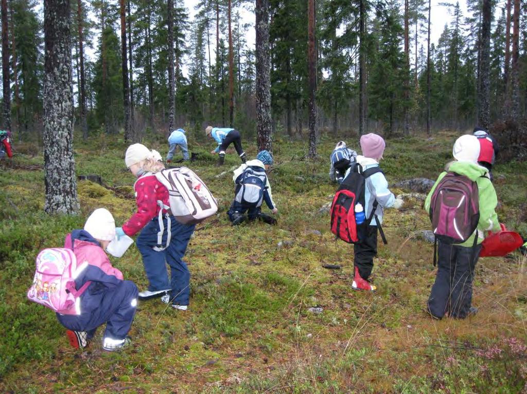 8 Linnakankaan koululaiset perinteisellä metsäretkellä. 5.