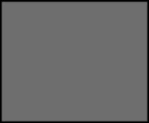 FIM Analyysi