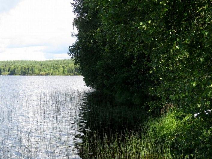 Kaava-alue Ellinniemen eteläpäässä kuvattuna