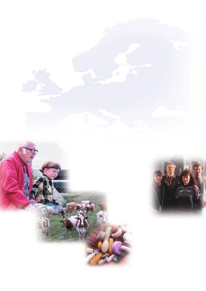 Euroopan lääkearviointivirasto Työohjelmaöö 2004