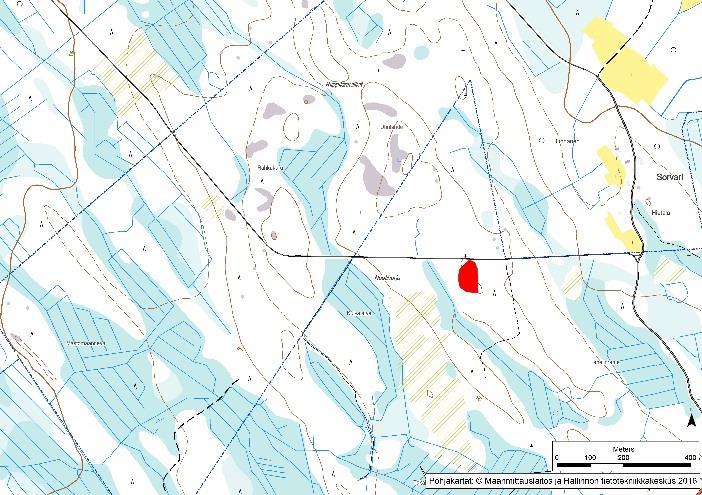 2016 Kuvaus: Matala paljastuma hyvän metsätien vieressä Ouluntien läheisyydessä.