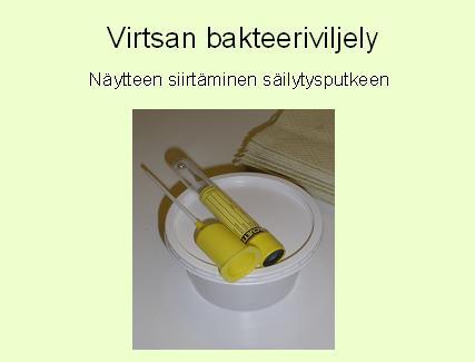 LIITE 1