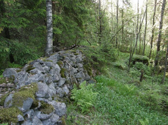 Heinolan kaupungin asemakaavoitukseen liittyvät luontoselvitykset 2010 9. C1 Heikkimäki (kartta 7) 9.1. Tutkimusalueen yleiskuvaus Seuraavassa on esitelty tutkimusalueen kasvillisuuden yleiskuvaus alueittain.
