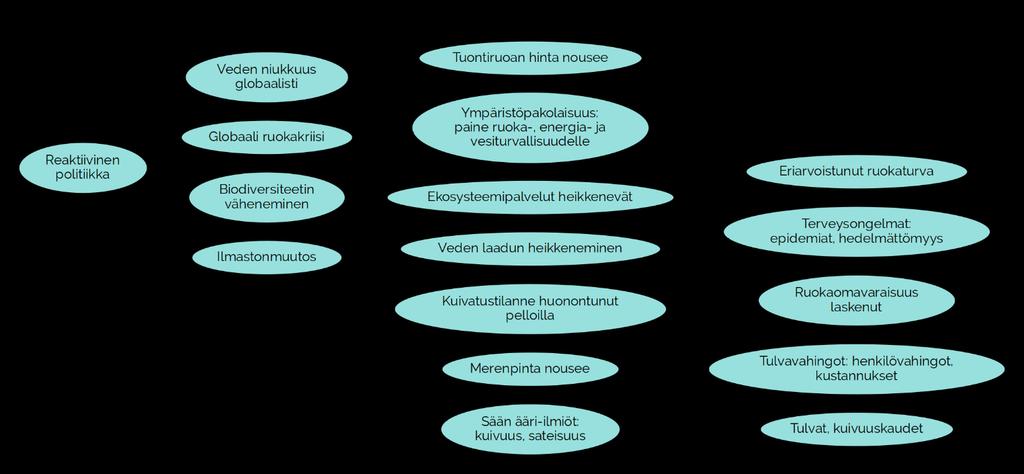 KUVA 4 Ilmastonmuutoksen kerrannaisvaikutukset iskevät. 2.1.2 GLOBAALIT AJURIT Ilmastonmuutos on edennyt ennakoitua nopeammin ja sen seuraukset näkyvät selvästi niin maailmalla kuin Suomessakin.