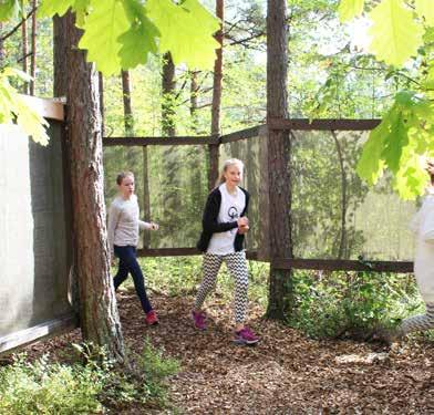 Labyrintti Tavoitteena on ryhmässä toimiminen, kavereiden kannustaminen ja tehtävien ratkaiseminen. Ohjelmassa tehdään erilaisia ryhmätehtäviä metsälabyrintissä.