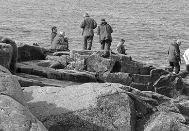 Soome-Eesti-Vene merekaitse kolmikkoostöö visioon Soome lahe aastaks 2014 Kai Myrberg Soome-Eesti-Vene kolmikkoostöö Soome lahe merekeskkonna kaitseks käivitus kaasaegsel moel umbes kakskümmend