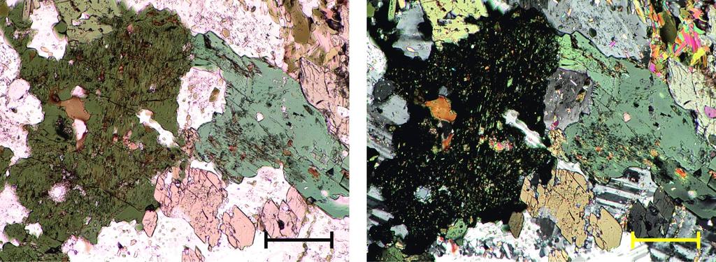 Kuva 11. Mikroskooppikuva amfibolirakeista feniitissä. Kuvissa lisäksi maasälpiä sekä biotiittia oikeassa ylänurkassa.