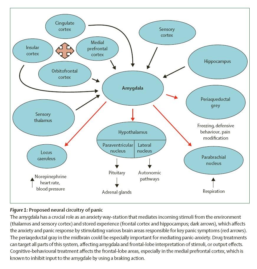 Roy-Byrne P et al.