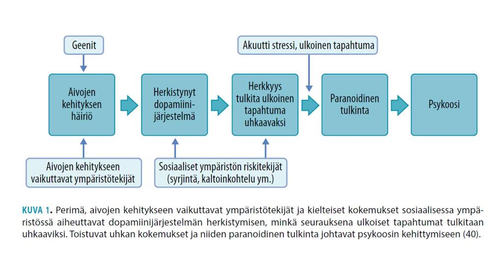 Miten psykoosi kehittyy?