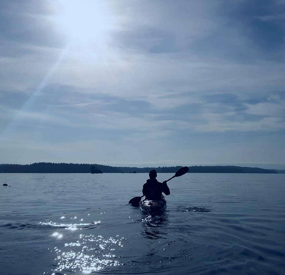 PERHONEN Maaliskuu 2017 Alkoholistien Aikuiset Lapset Maaliskuun Perhosessa: