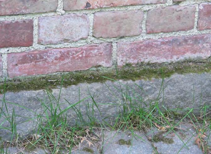 Uusittu ulko-ovi eteläjulkisivussa. 4.