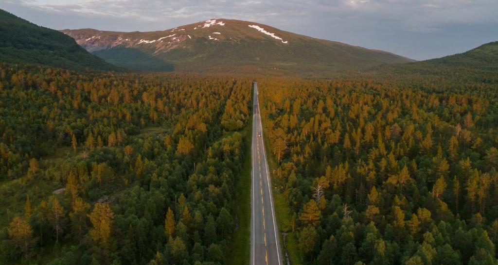 1. Yleiskatsaus 2. Nokian Renkaiden taloudellinen katsaus 3.