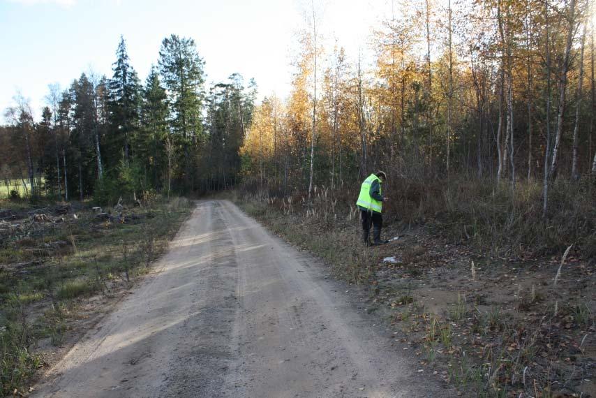 AKDG 3579:1 Raasepori Varvarinsuo 1. Palaneen luun löytöpaikka tien penkassa, idästä. 14.10.2013.