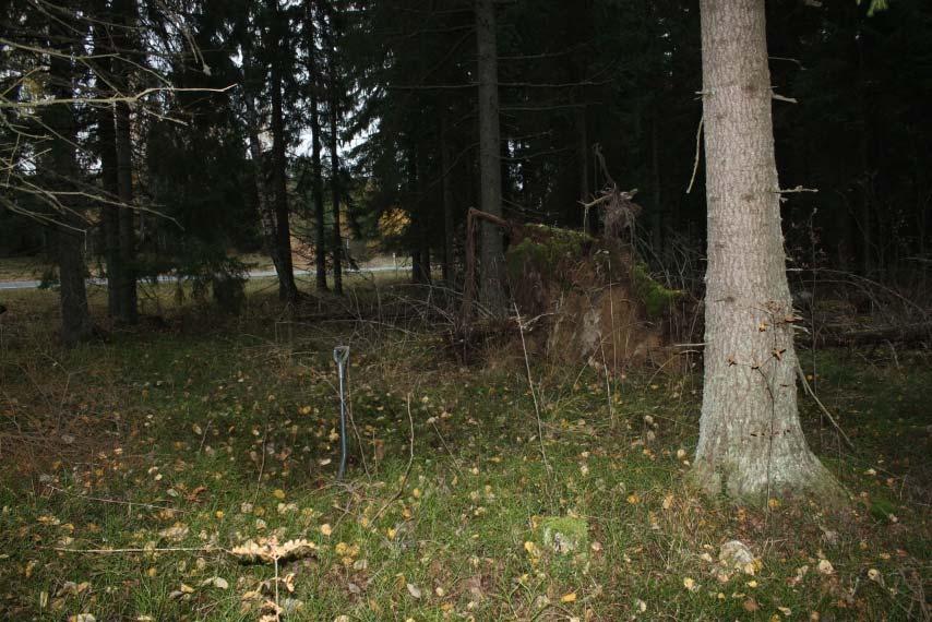 12 Raasepori Varvarinsuo 4 Perustiedot Muinaisjäännöslaji kiinteä muinaisjäännös Muinaisjäännöstyyppi kuoppa Ajoitus historiallinen Rauhoitusluokkaehdotus 2 Koordinaatit (ETRS TM35) p= 6668893 i=