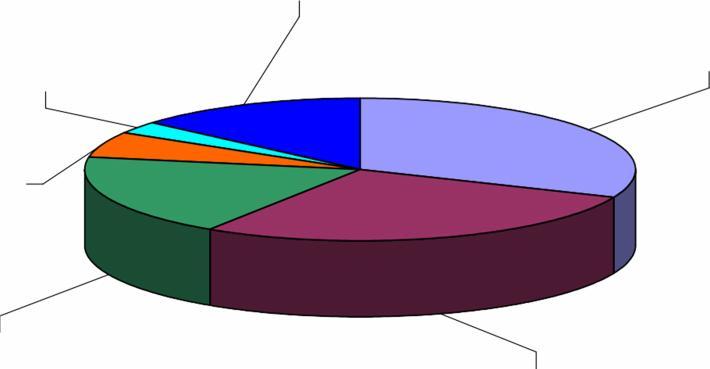 Valtakunnalliset keräykset 2,8% Muut tulot 13,6 % Seurakuntien talousarviomäärärahat 31,3 % Testamentit ja