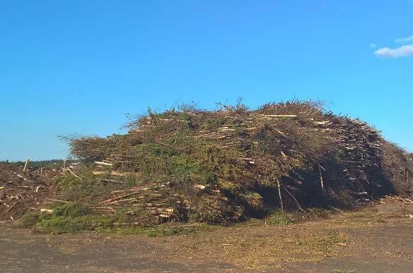 Metsäbiomassojen käytön