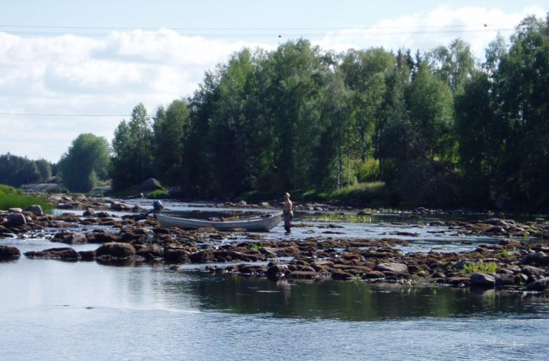 LUONNON JOET: Keväällä maalis-hutikuussa, ennen lumen sulamista (tulvaa) Loppukesällä (elokuu), kun haihdunta on suuri ja sadanta vähäinen Harvoin täysin