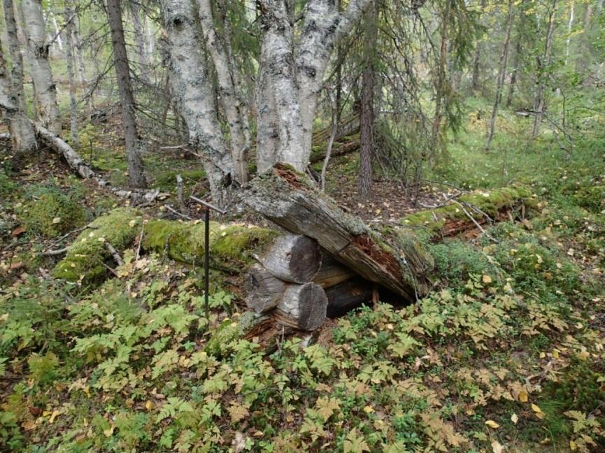 romahtaneen kämpän sisäpuolisellakin