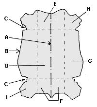 kuivatetaan kehikossa