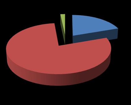 20 4.2 Helsingin poliisilaitos Helsingin poliisilaitos 5 58 Rikosperuste 58 Maahantulokielto 232 Muu syy 5 232 Kuvio 2. Käännytysperusteiden jakautuminen Helsingin poliisilaitoksen alueella.