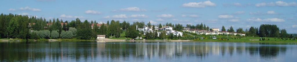 Oriveden kaupungin hyvinvointitilinpäätös v.
