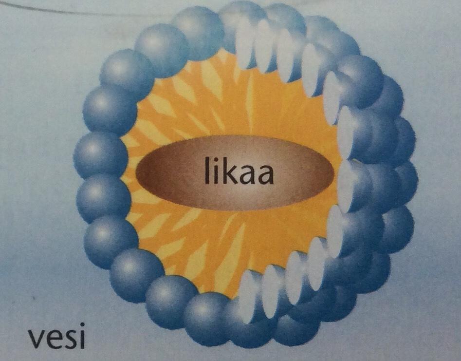 Siksi saippuakuplat ovat pinnassa. Tensidien pooliton pää sitoutuu rasvaan ja likaan tehokkaasti, sillä nekin ovat poolittomia (like likes like).