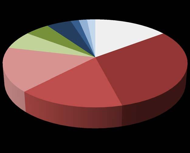 5.1.2 Ensioireet Myeliitti Raajaheikkous 3 3 5 % 5 % Pikkuaivo 4 6 % Multifokaalinen 10 16 % Aivorunko 1 2 % Sensorinen 10 16 % Isoaivo 1 2 % Ei tietoa 9 15 % Neuriitti 19 31 % Kuva 5: Ensioireet