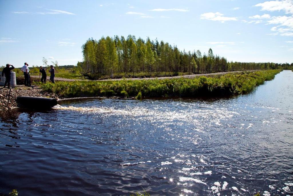 uuden turvetuotantosuon kiintoaine- ja humuskuormitus on