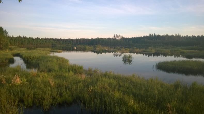 Oletus seuraavasta maankäytöstä Paju-Pihlassuo alueet ovat kokonaan Vapon omistamia. Alueet soveltuvat parhaiten metsätalouskäyttöön.