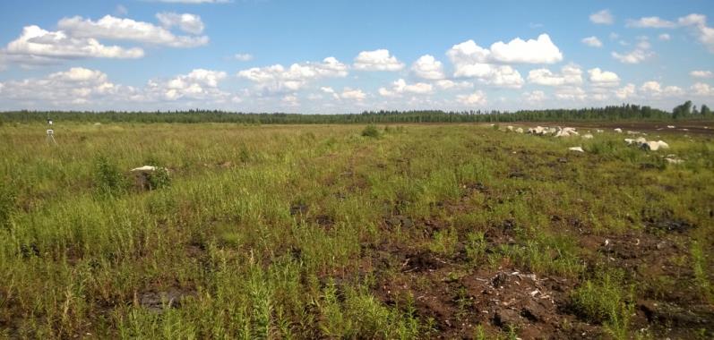 Lisäksi tuotannosta poistuneita alueita on tuhkalannoitettu ja kyseiset alueet ovat taimettuneet luontaisesti.