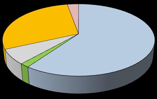 29 % (204) 3 % (20) Yleinen virka- ja työehtosopimus Lääkärit 60 % (422) Teknisten sopimus Opetusala 6 % (47) 2 % (12) Tuntipalkkaiset Kuvio 10: Henkilökunta kunta-alan sopimusten piirissä