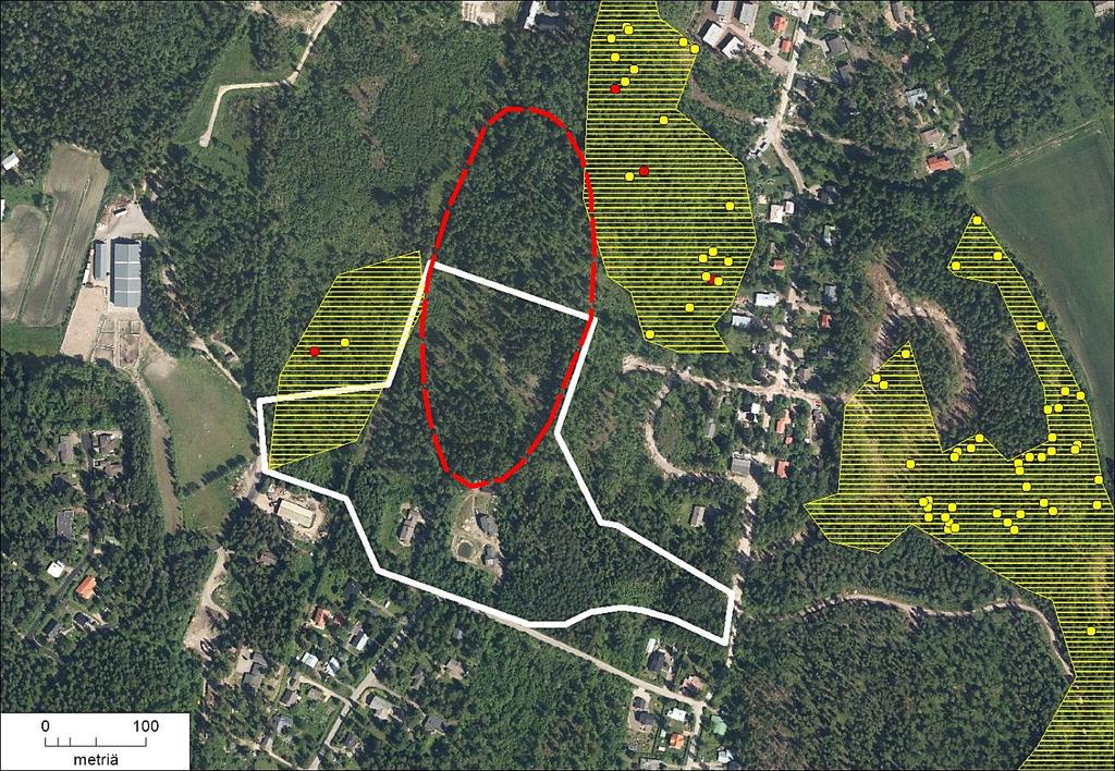 Kuva 6. Liito-oravan elinalueet (keltainen varjostus), lepakoiden tärkeä ruokailualue (punainen katkoviiva) ja selvitysalueen rajaus (valkoinen viiva).