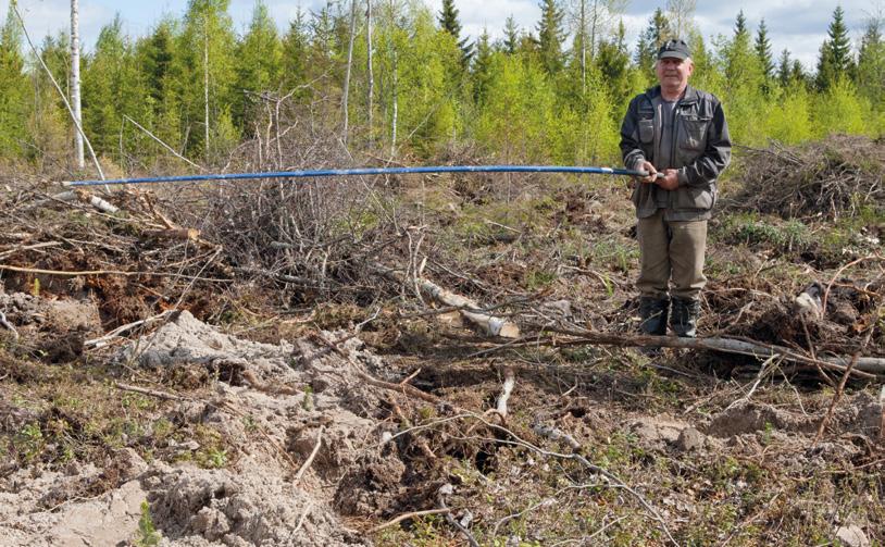 2 METSÄNUUDISTAMINEN 2.3.